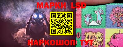 spice Новодвинск