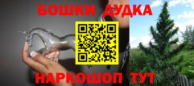 прущие грибы Обь