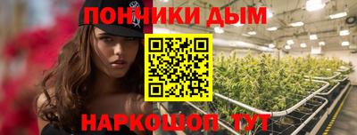 шишки Новокубанск