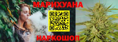 гидра Новозыбков