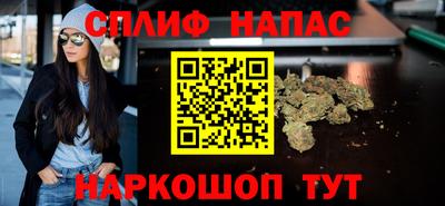 spice Новодвинск