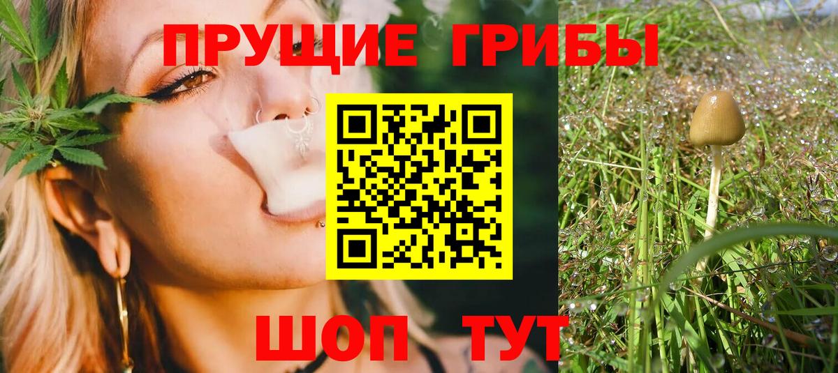 Галлюциногенные грибы мухоморы Семилуки