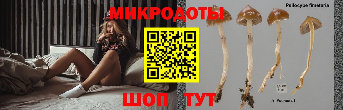 Псилоцибиновые грибы мицелий  Вход с VPN  Семилуки 
